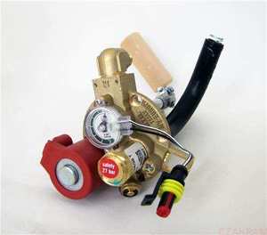 BRC multivalve Europa 2 H. 200 30° (6mm)