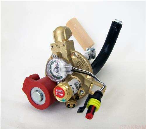 BRC multivalve Europa 2 H. 200 30° (6mm)